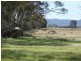 1 Ti Tree Lane, Natimuk VIC 3409