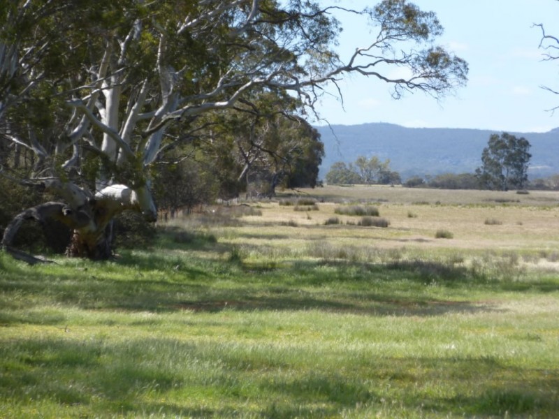 1 Ti Tree Lane, Natimuk VIC 3409