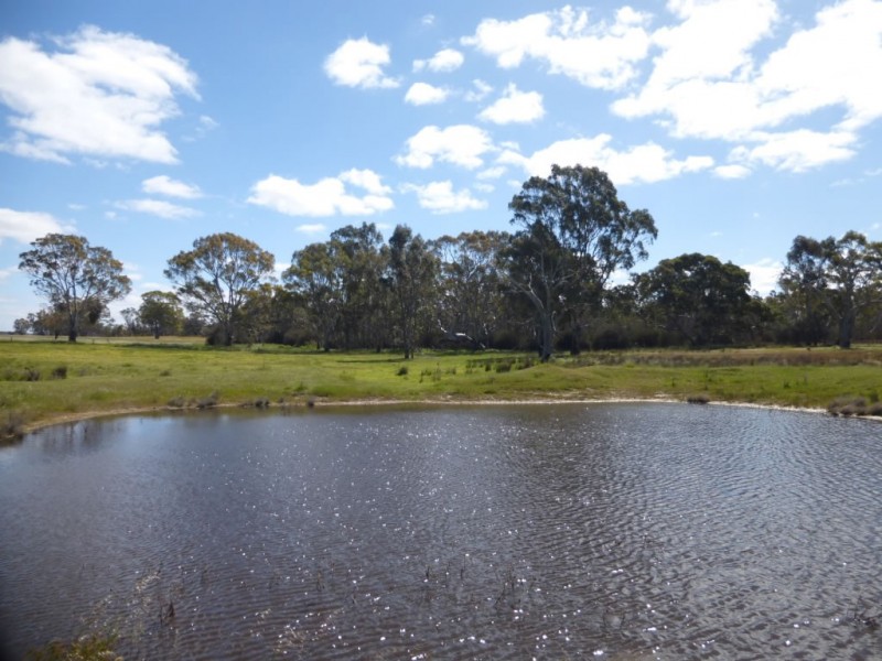 1 Ti Tree Lane, Natimuk VIC 3409
