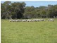 1 Ti Tree Lane, Natimuk VIC 3409