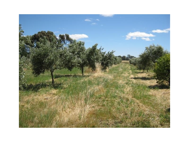 Benalla VIC 3672