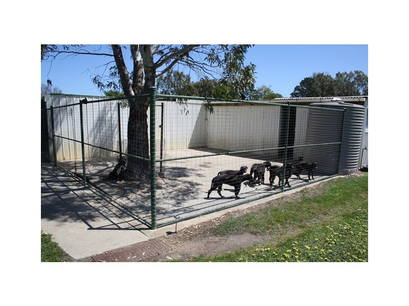 14 R Burns Road, Edenhope VIC 3318