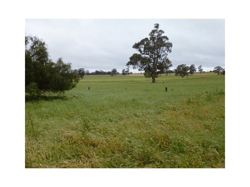 0 Warlburton Road, Patyah VIC 3318