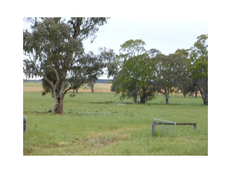 0 Warlburton Road, Patyah VIC 3318