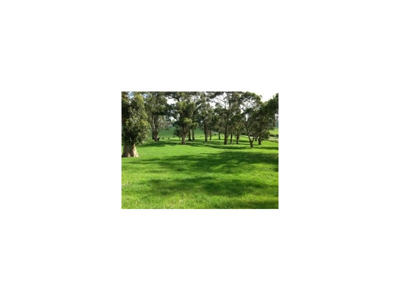 300 LEONGATHA – YARRAGON ROAD, Leongatha North VIC 3953