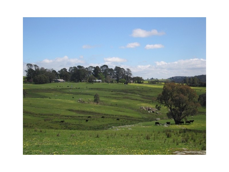 1678 Merton/Strathbogie Road, Strathbogie VIC 3666