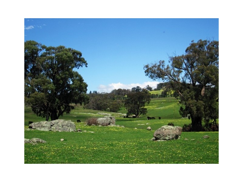 1678 Merton/Strathbogie Road, Strathbogie VIC 3666