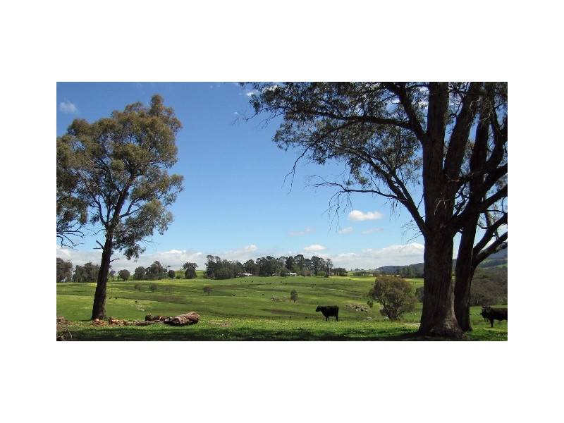 1678 Merton/Strathbogie Road, Strathbogie VIC 3666