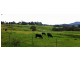 1678 Merton/Strathbogie Road, Strathbogie VIC 3666