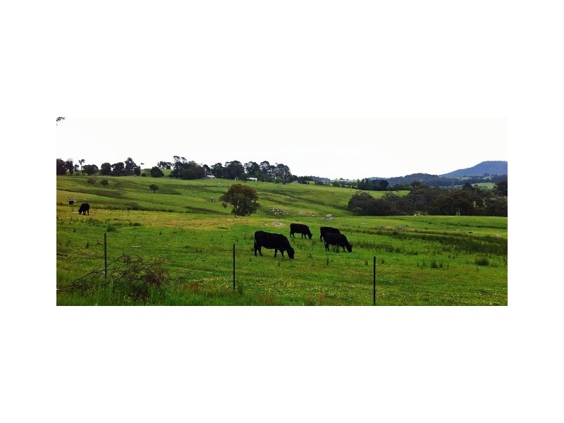 1678 Merton/Strathbogie Road, Strathbogie VIC 3666