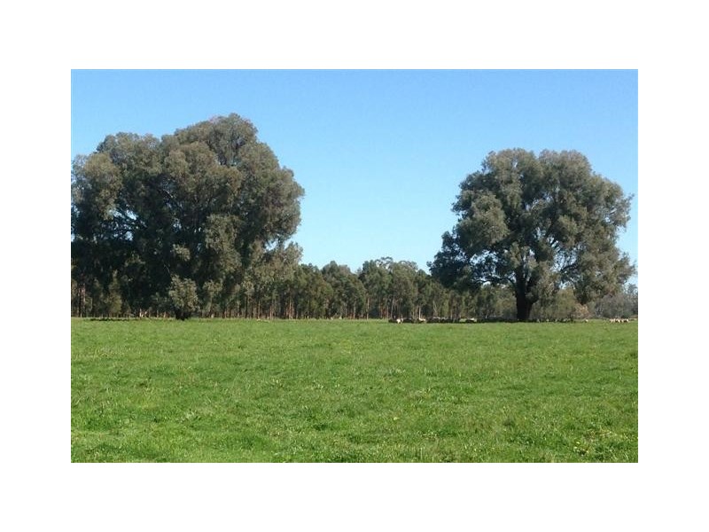 Lot 1 Warrenbayne West Rd, Benalla VIC 3672