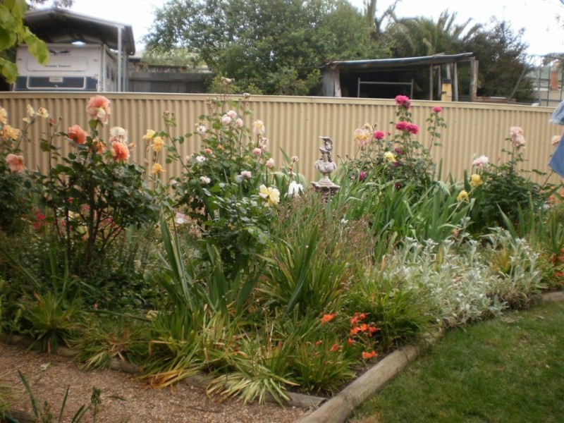 24 Kings Ave, St Arnaud VIC 3478