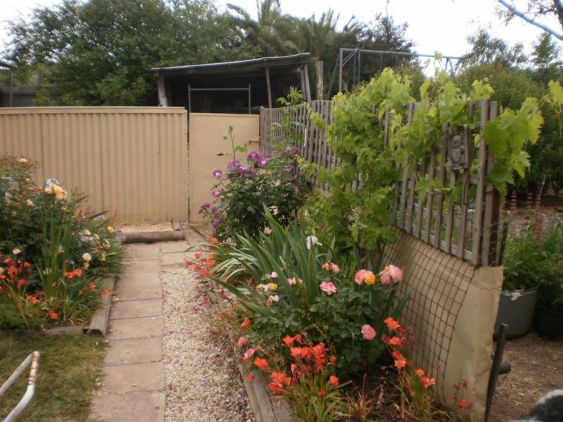 24 Kings Ave, St Arnaud VIC 3478