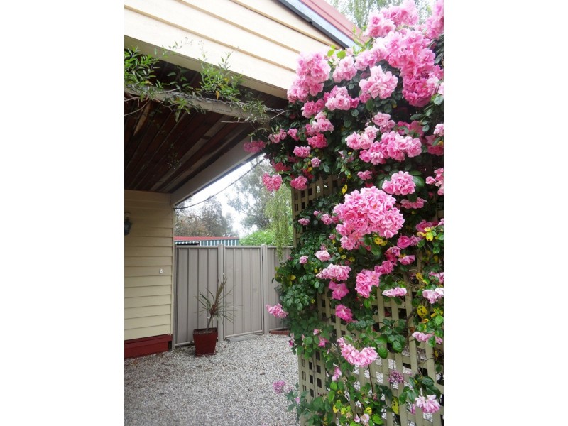 Mansfield VIC 3722