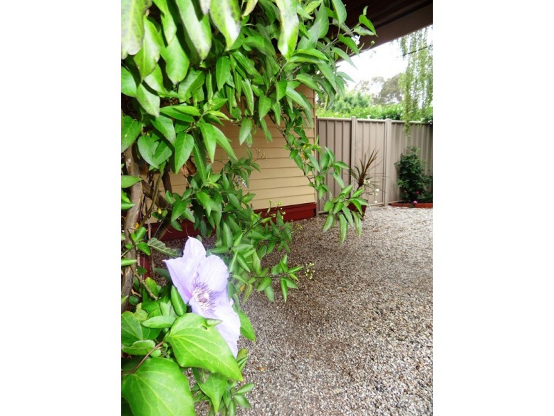 Mansfield VIC 3722