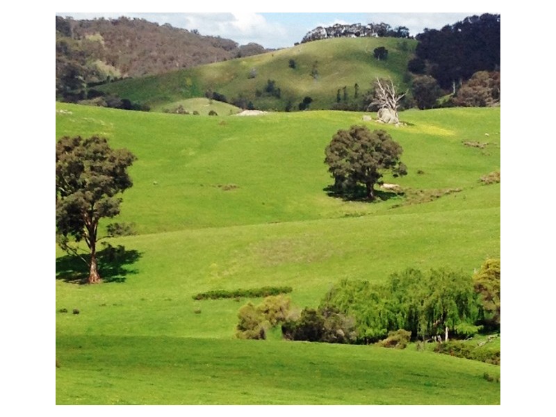 2226 Mansfield Road, Gooram VIC 3666