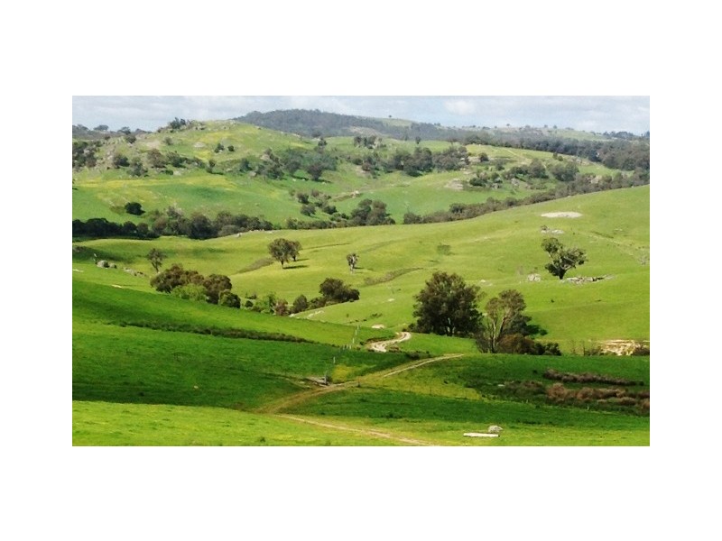 2226 Mansfield Road, Gooram VIC 3666