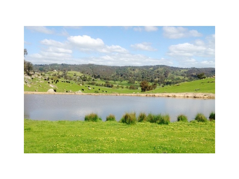 2226 Mansfield Road, Gooram VIC 3666