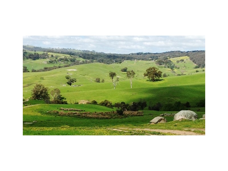 2226 Mansfield Road, Gooram VIC 3666