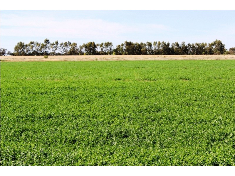 110 Niemann Road Murrawee Via, Swan Hill VIC 3585