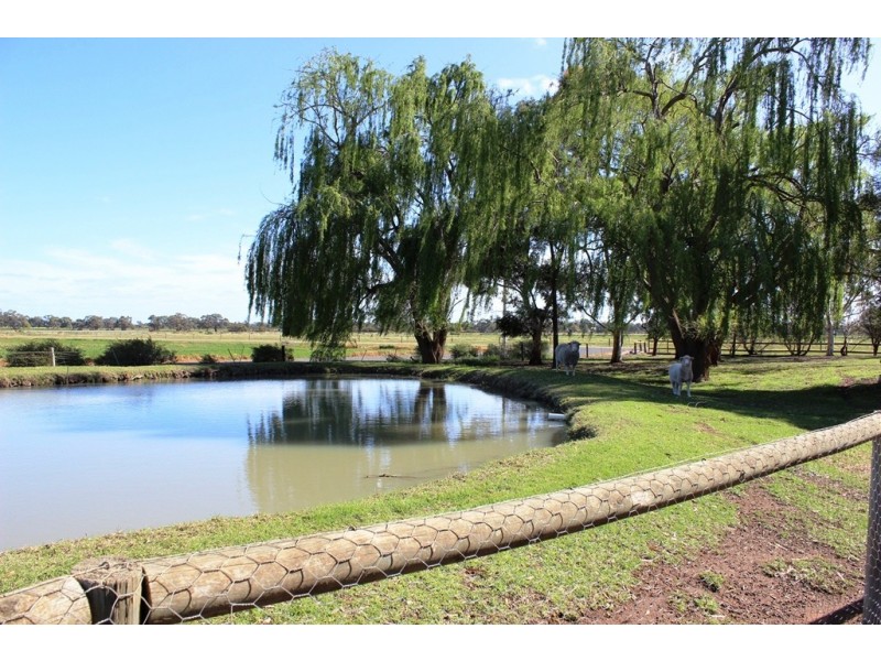 110 Niemann Road Murrawee Via, Swan Hill VIC 3585