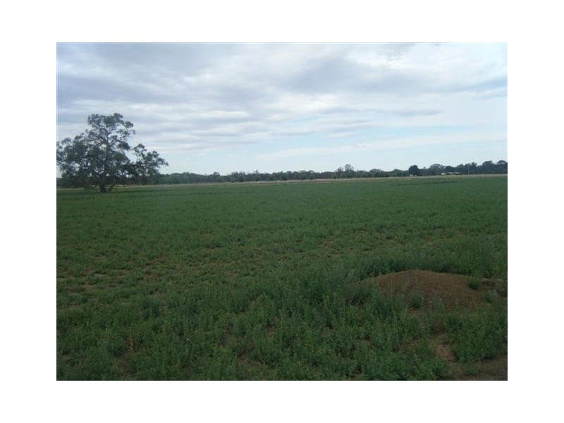 500 Pianta, Echuca VIC 3564