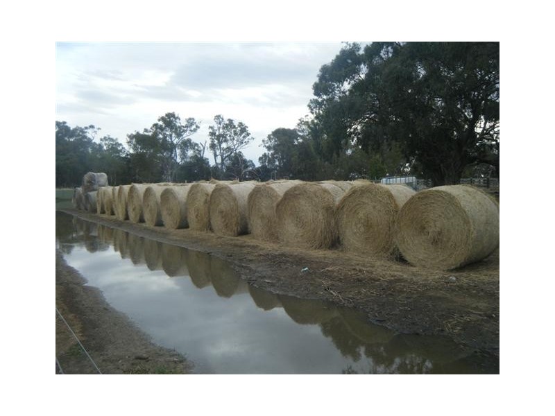 500 Pianta, Echuca VIC 3564