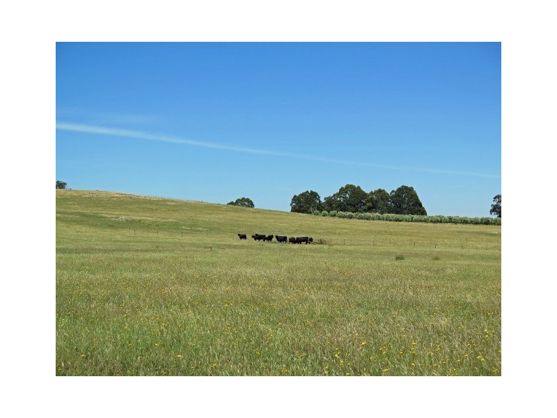 64 Brookleigh Road, Strathbogie VIC 3666