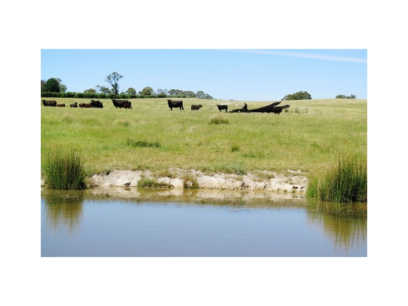 64 Brookleigh Road, Strathbogie VIC 3666