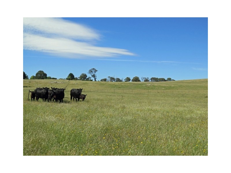 64 Brookleigh Road, Strathbogie VIC 3666