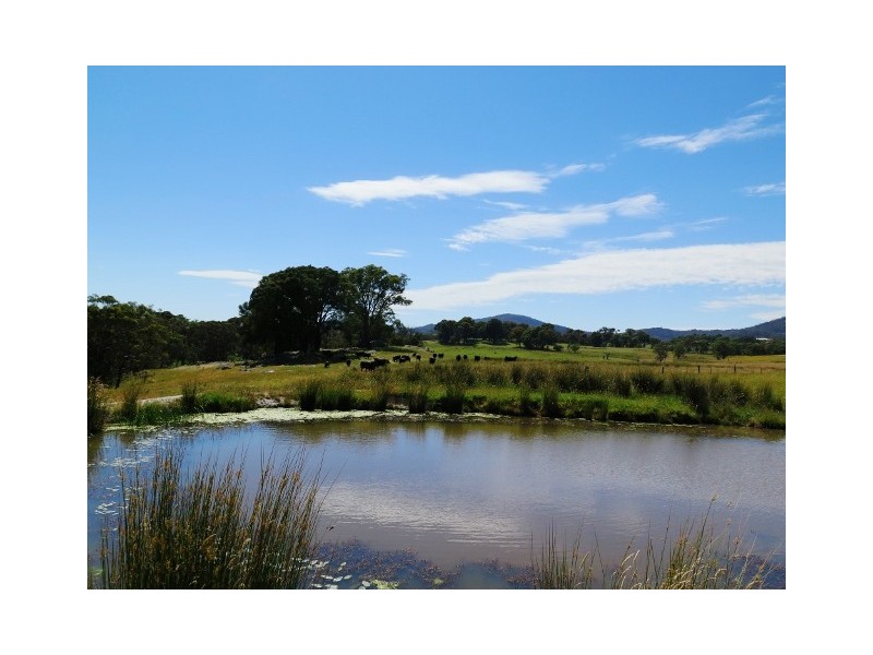 64 Brookleigh Road, Strathbogie VIC 3666