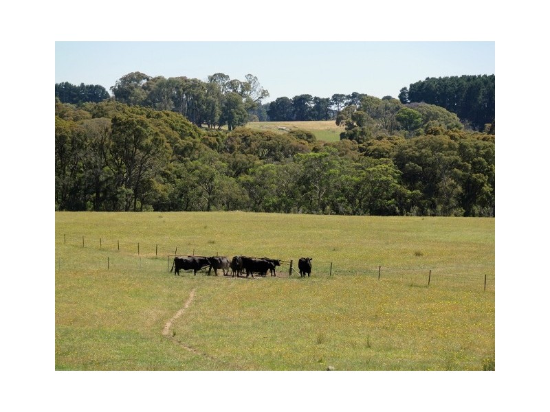 64 Brookleigh Road, Strathbogie VIC 3666