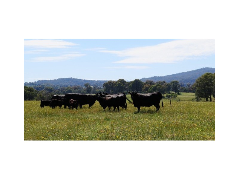 64 Brookleigh Road, Strathbogie VIC 3666