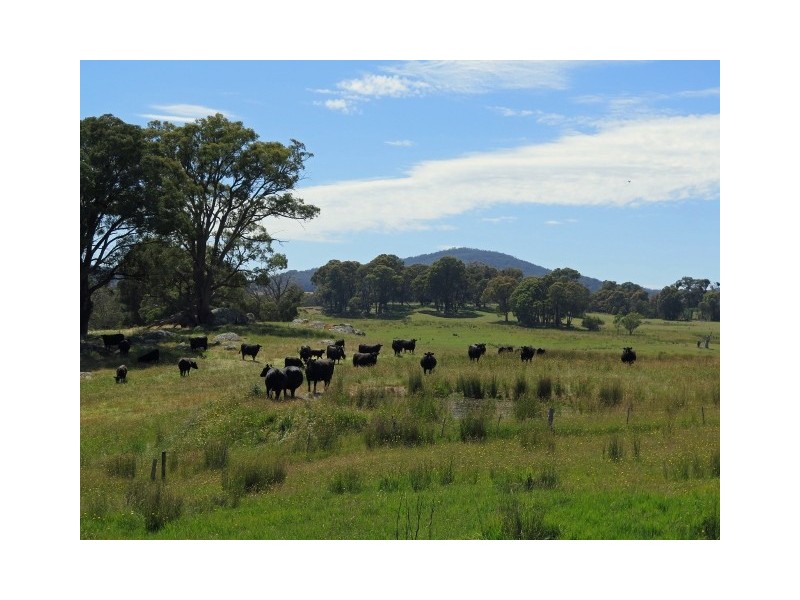 64 Brookleigh Road, Strathbogie VIC 3666