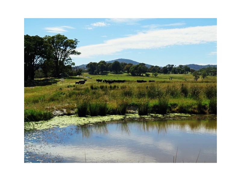 64 Brookleigh Road, Strathbogie VIC 3666