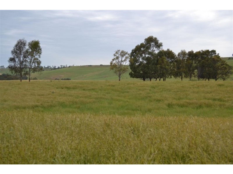 Darraweit Guim VIC 3756