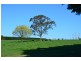 Warragul VIC 3820