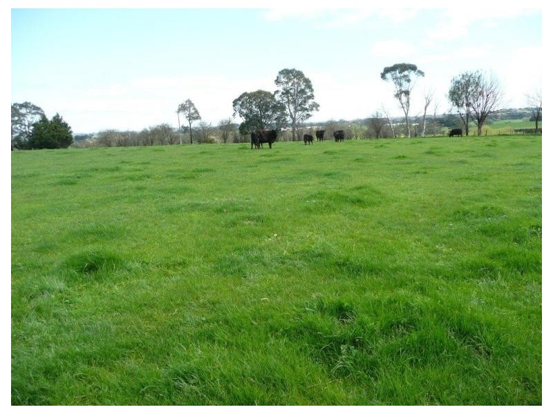 Warragul VIC 3820