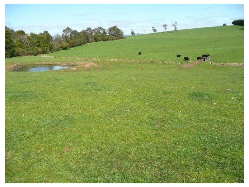 Warragul VIC 3820