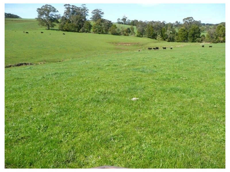 Warragul VIC 3820