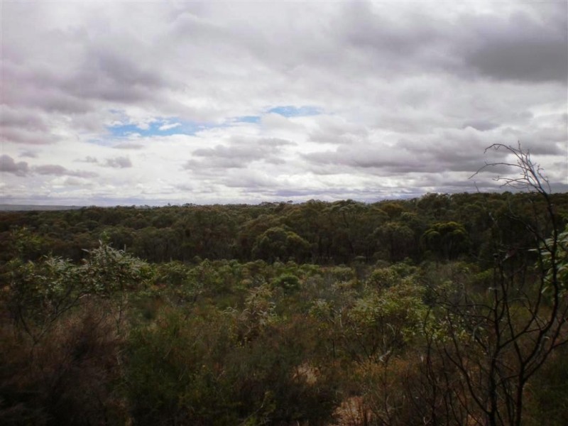 St Arnaud VIC 3478