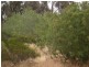 St Arnaud VIC 3478