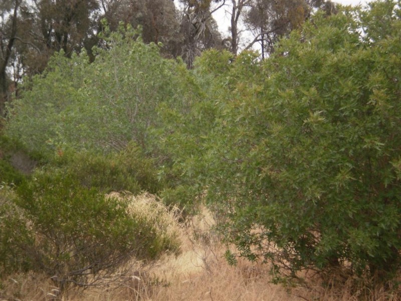 St Arnaud VIC 3478