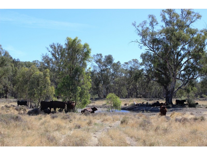11 Felton Drive, Murray Downs NSW 3585