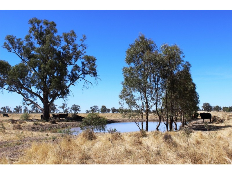 11 Felton Drive, Murray Downs NSW 3585