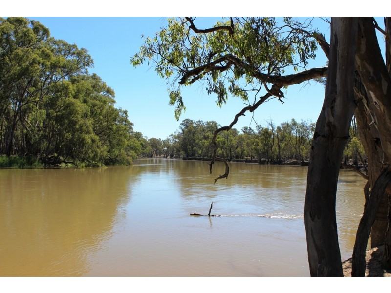 11 Felton Drive, Murray Downs NSW 3585