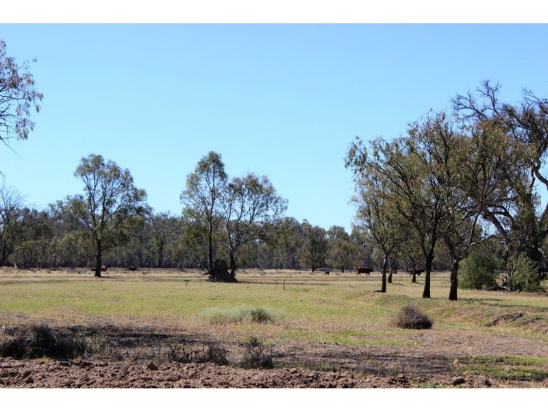 11 Felton Drive, Murray Downs NSW 3585