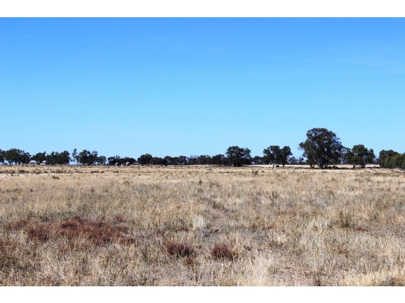 11 Felton Drive, Murray Downs NSW 3585