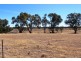 11 Felton Drive, Murray Downs NSW 3585