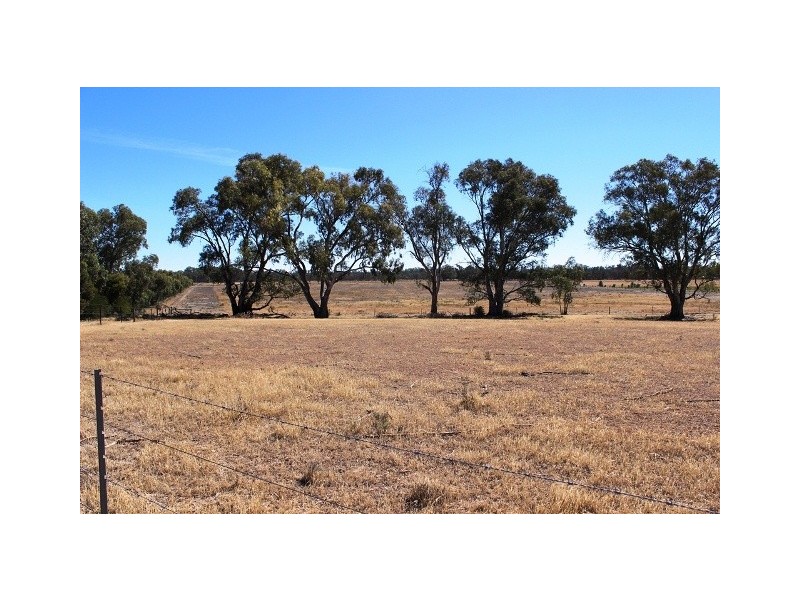 11 Felton Drive, Murray Downs NSW 3585